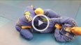 Video Technique- Armbar setup from traditional grips